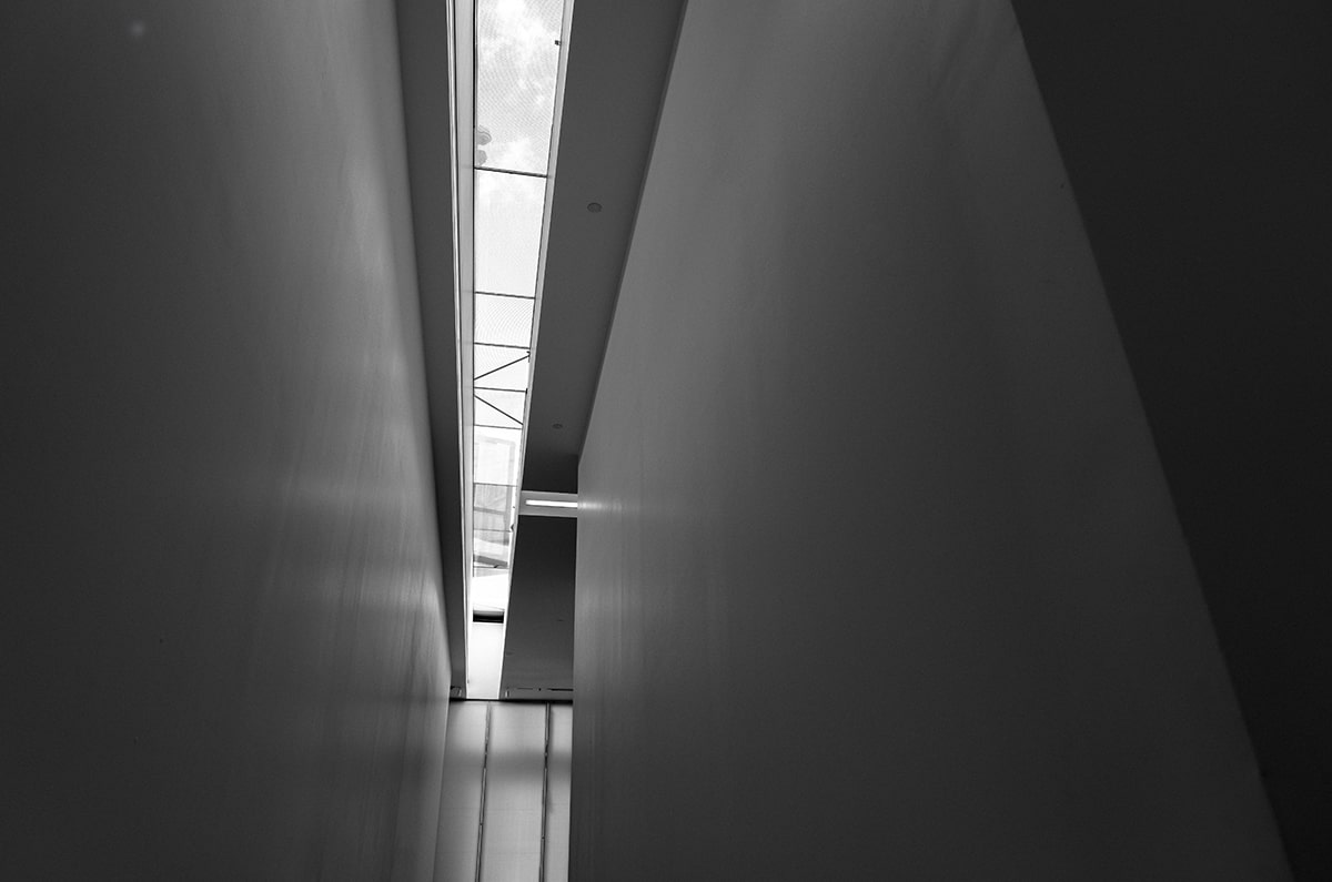 转会动态最新！布莱顿瞄准德甲猛将，红军热刺上演抢人大战